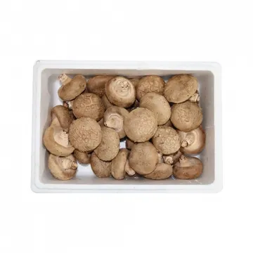 표고버섯1호/국내산 500g