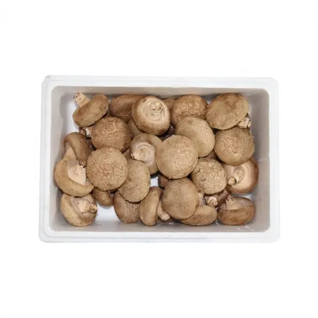 표고버섯1호/국내산 500g