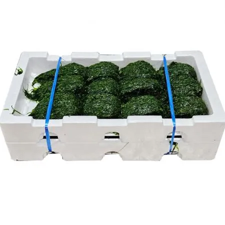 물파래 1kg *2판 (1벌/24뭉치) 국내산