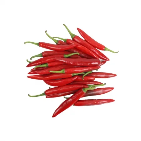 홍고추/국내산 500g