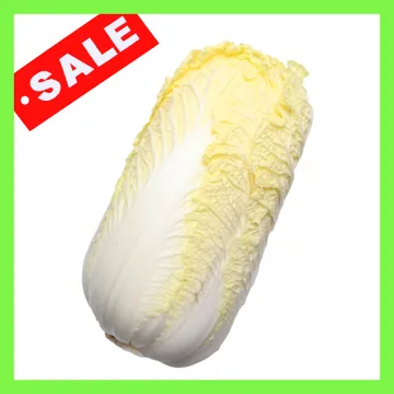 알배기/국내산 1개