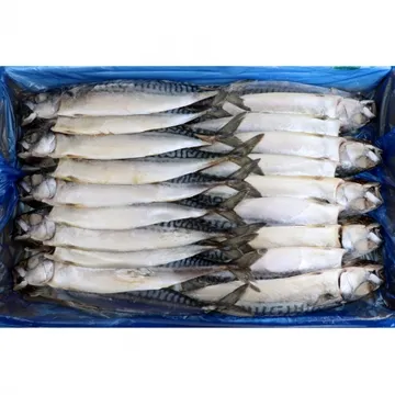 ★생선특가★ 냉동 노르웨이 자반 고등어 大 대 (10손) 20마리