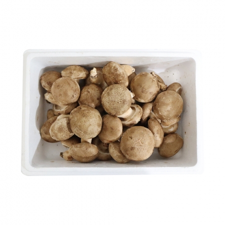 표고버섯2호/국내산 1kg