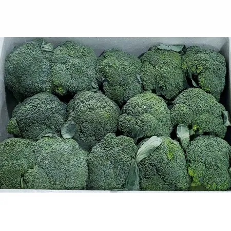 브로컬리/수입산 ±7kg  브로콜리 브로커리 이미지