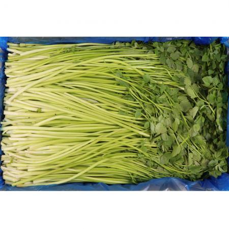 돌미나리A급/국내산 4kg