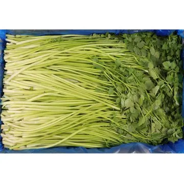 돌미나리A급/국내산 4kg