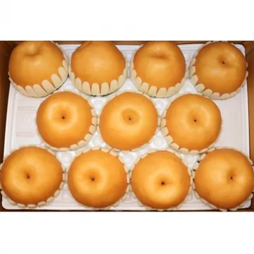 배2호/국내산 15kg