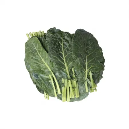 케일/국내산 500g
