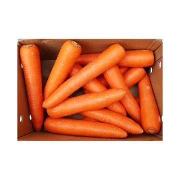 세척당근/중국산 10kg (2L) 수입산