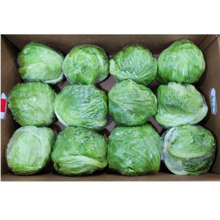 양상추(국내산) 12입 박스