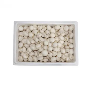 양송이3호/국내산 500g