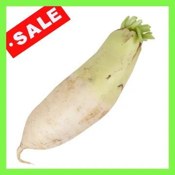 무우大/국내산 1개