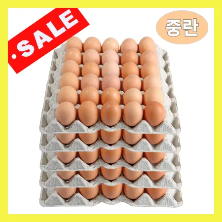 계란/중란 30알 국내산 묶음5판