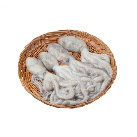 산낙지 1kg