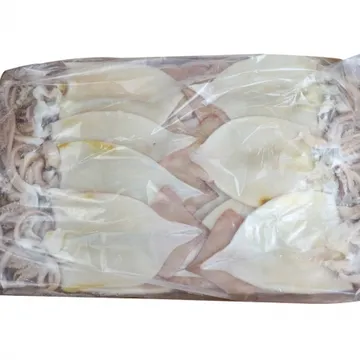 오징어(활복/국내산) 6kg 할복오징어