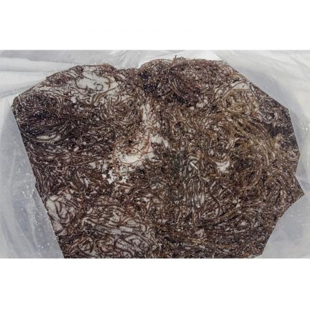 염장꼬시래기/국내산 10kg