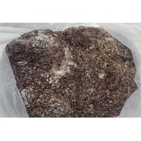 염장꼬시래기/국내산 10kg