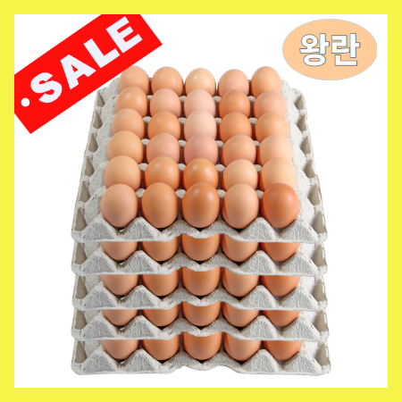 계란/왕란 30알 국내산 묶음5판