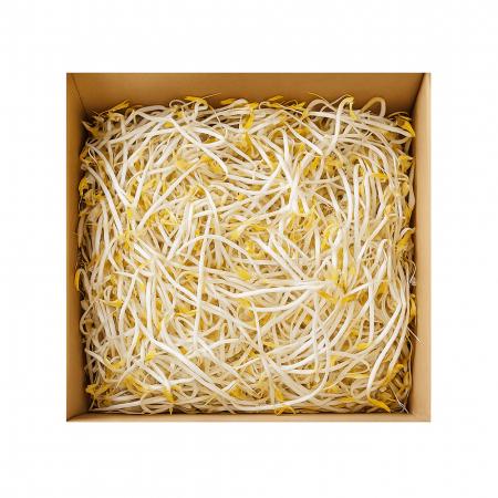 숙주나물(일반/재우농산) 3.5kg