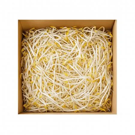 숙주나물(일반/재우농산) 3.5kg