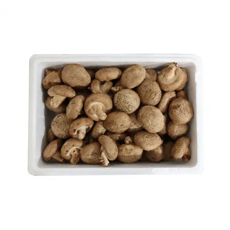 표고버섯2호中 국내산 500g