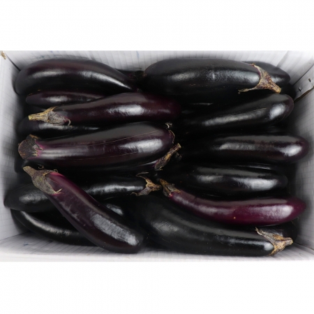 가지/상/국내산 5kg(30개내외)