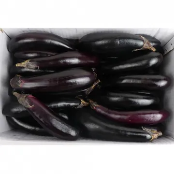 가지/상/국내산 5kg(30개내외)