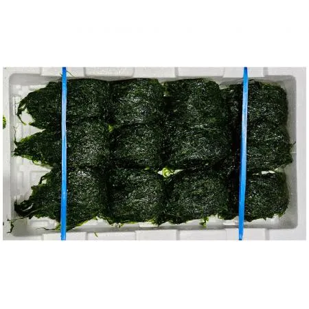 물파래 1kg  (1판/12뭉치) 국내산