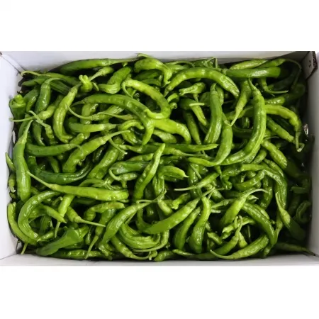 꽈리고추/상/국내산 4kg