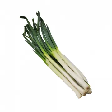 깐대파/국내산 1kg