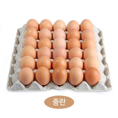 계란/중란 30알 국내산 1판
