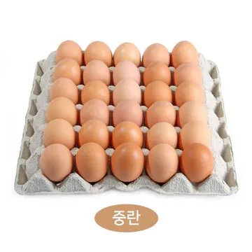 계란/중란 30알 국내산 1판