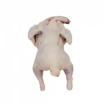 생닭 15호 /국내산 1마리