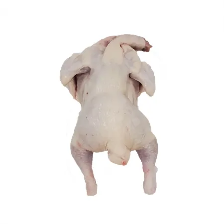 생닭 15호 /국내산 1마리