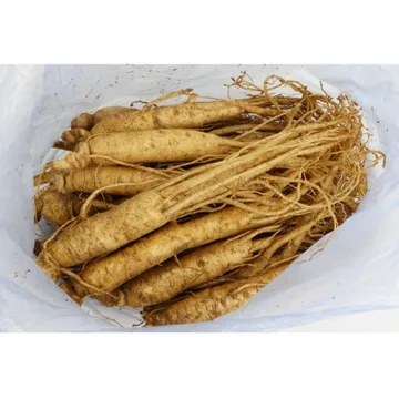 수삼大/삼계탕용 750g