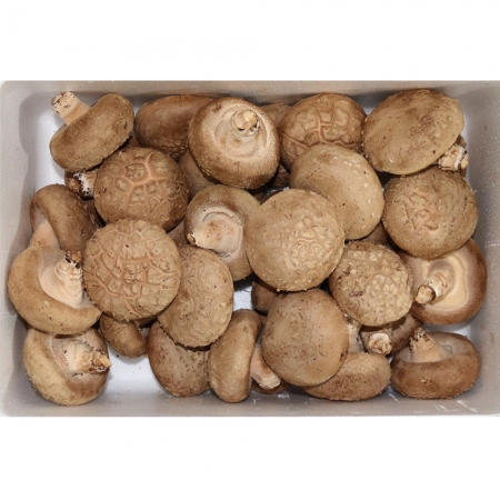 표고버섯1호/국내산 1kg