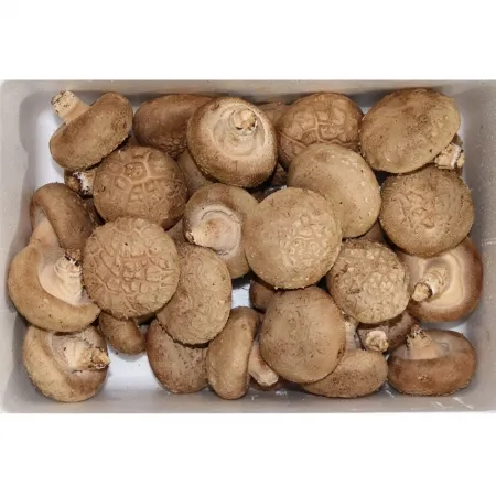 표고버섯1호/국내산 1kg