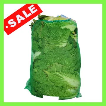 배추/국내산 3개 1망(52망/특)