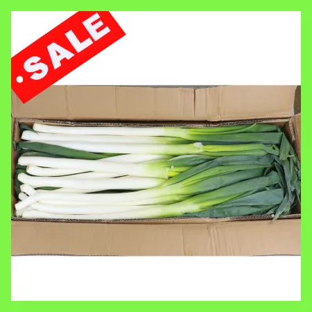 깐대파 10kg 중국산 수입대파 업소용 대파