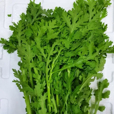 쑥갓 1kg[봉] 이미지