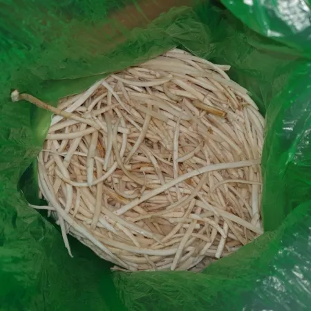 우엉채5mm(수입산) 2kg[봉] 이미지
