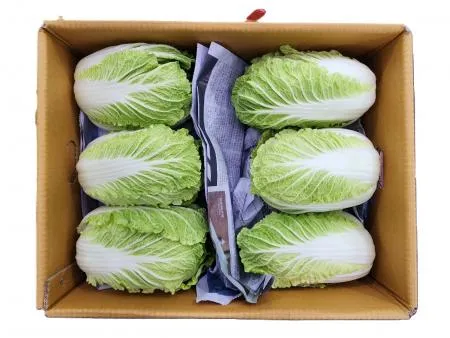 알배기배추(상) 12입 [BOX] 이미지