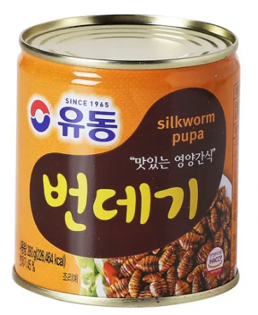 유동 번데기캔 280g