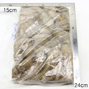 활낙지(4미 중국) 850g 냉동 이미지