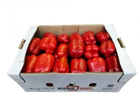 파프리카(빨강) 5kg[BOX] 이미지