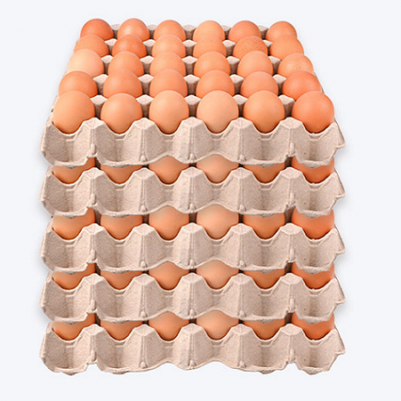 계란(대란_52g*30) 1.56kg 이미지