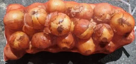 양파(특,수입) 15kg [망]