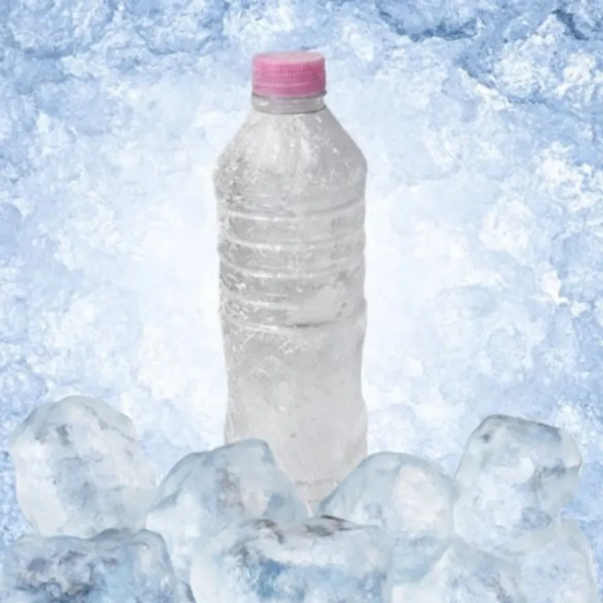 꽁꽁 얼린생수 얼음생수 얼음물 500ml x 20병(1팩) - 최저가 사업자 식자재 | 식봄