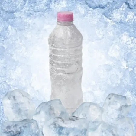 꽁꽁 얼린생수 얼음생수 얼음물 500ml x 20병(1팩) - 최저가 사업자 식자재 | 식봄