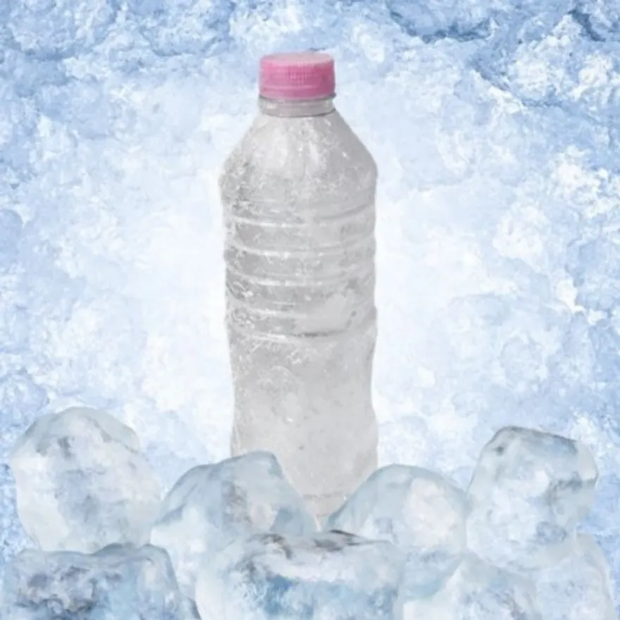 꽁꽁 얼린생수 얼음생수 얼음물 500ml x 60병(3팩) 이미지